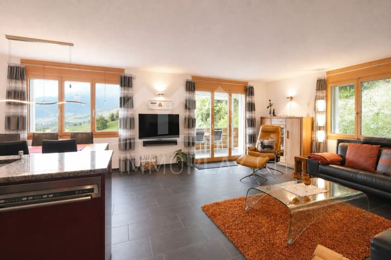 Newly valued 3½ room holiday apartment in an idyllic location (5)