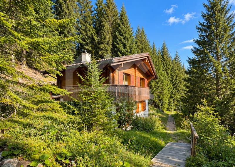 Charmantes Ferienchalet im Skigebiet mit toller Aussicht (6)
