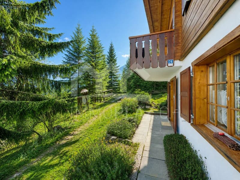 Heimeliges Chalet | sehr ruhige Lage | Gehdistanz zur Skipiste (2)
