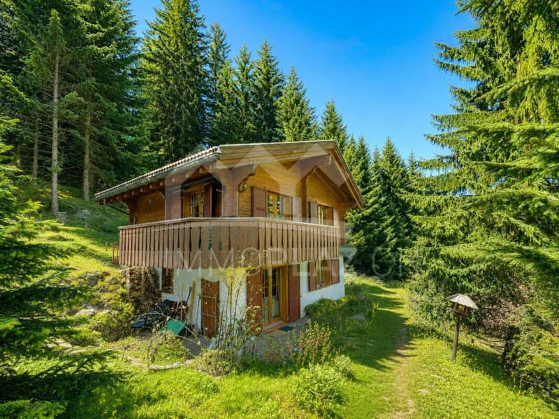 Heimeliges Chalet | sehr ruhige Lage | Gehdistanz zur Skipiste (3)