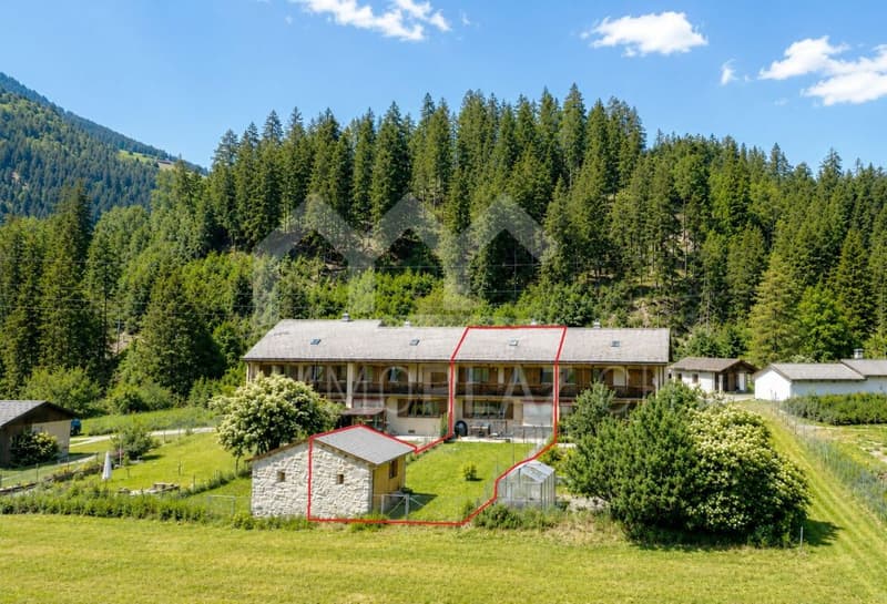 4½ Zi.-Reihenhaus mit grossem Garten und schöner Tal- und Bergsicht (2)