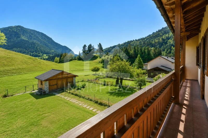 4½ Zi.-Reihenhaus mit grossem Garten und schöner Tal- und Bergsicht (1)