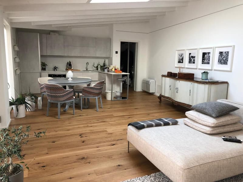 APPARTEMENT 2.5 PIÈCES EN CENTRE-VILLE (8)
