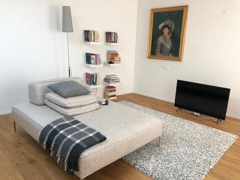 APPARTEMENT 2.5 PIÈCES EN CENTRE-VILLE (6)