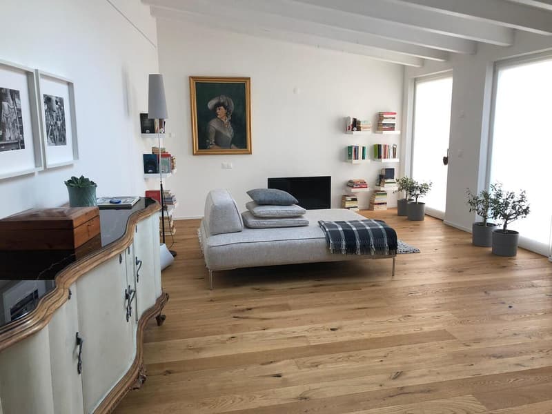APPARTEMENT 2.5 PIÈCES EN CENTRE-VILLE (4)