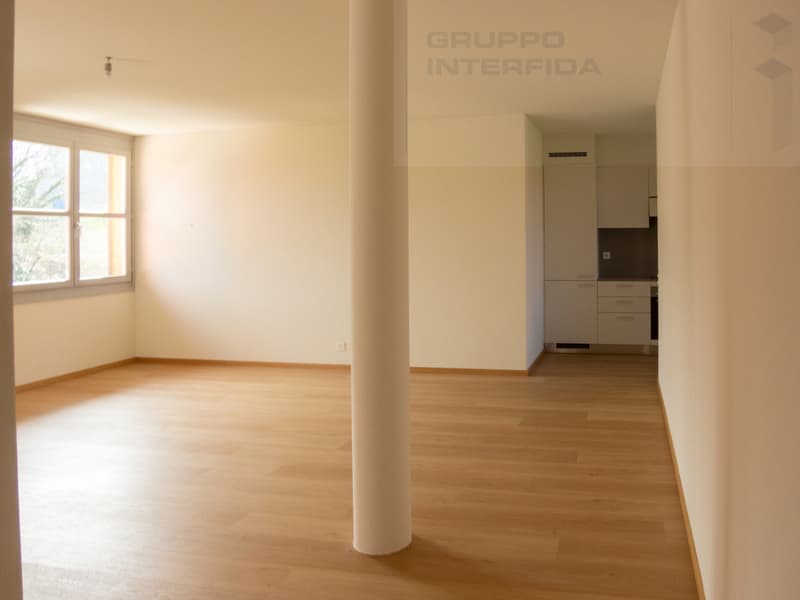 APARTMENT 3.5 ROOMS SPACIOUS AND MODERN (3)