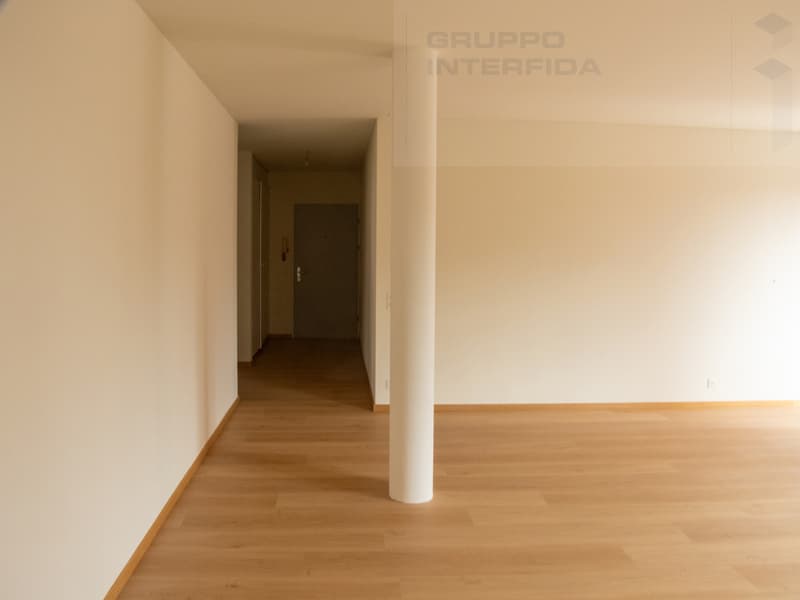 APARTMENT 3.5 ROOMS SPACIOUS AND MODERN (4)