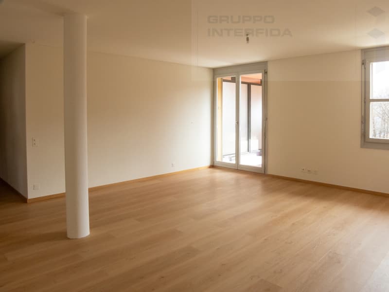 APARTMENT 3.5 ROOMS SPACIOUS AND MODERN (5)