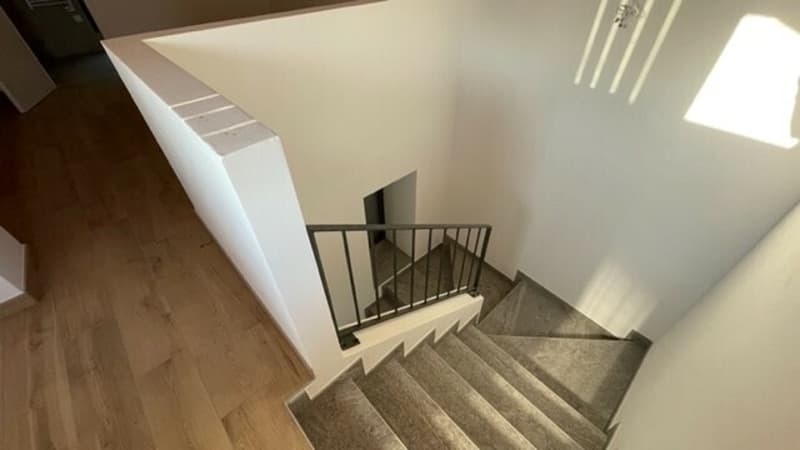 DUPLEX 4,5 LOKALE RENOVIERTE WOHNUNG (4)