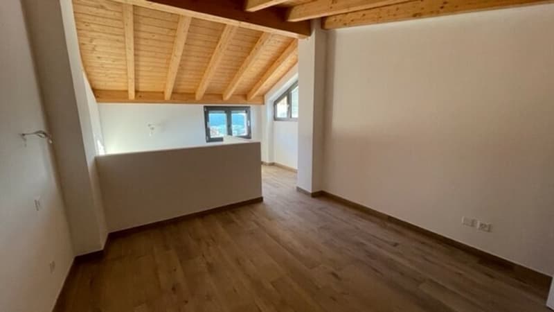 DUPLEX 4,5 LOKALE RENOVIERTE WOHNUNG (5)