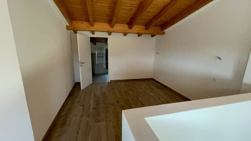 DUPLEX 4,5 LOKALE RENOVIERTE WOHNUNG (3)