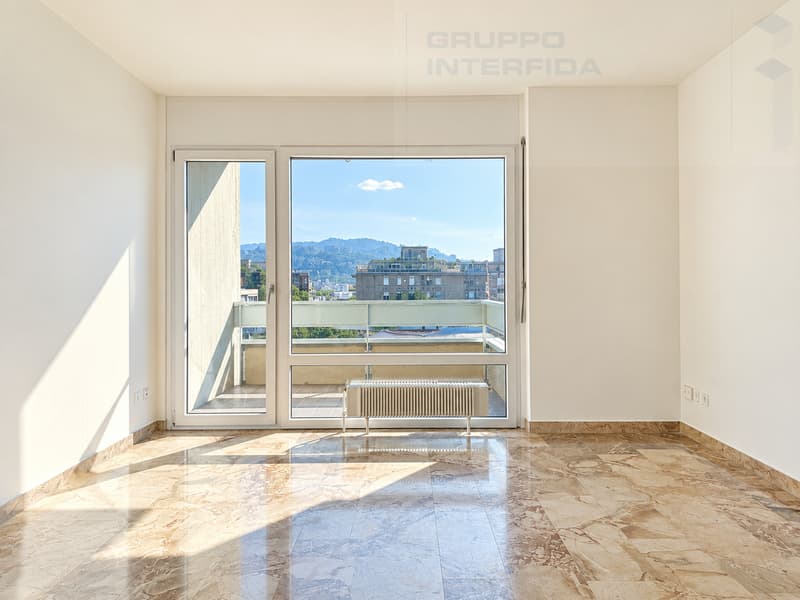 LUMINOSI APPARTAMENTI 2.5 LOCALI RISTRUTTURATI (1)