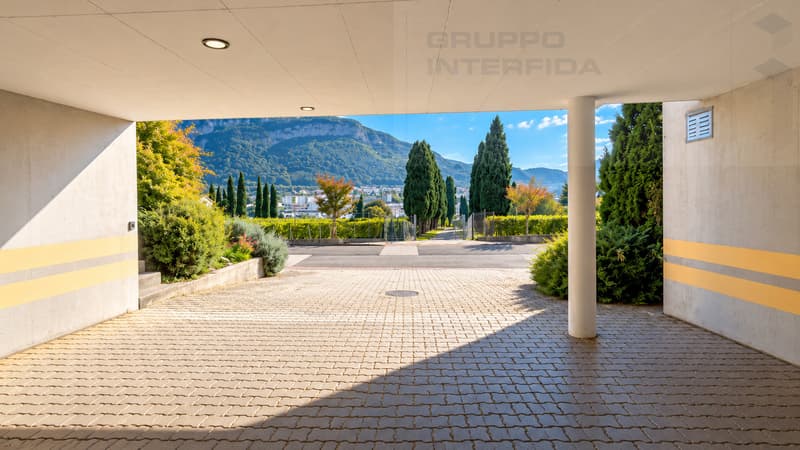 SPAZIOSA CASA CON GIARDINO E VISTA SULLE VIGNE (12)