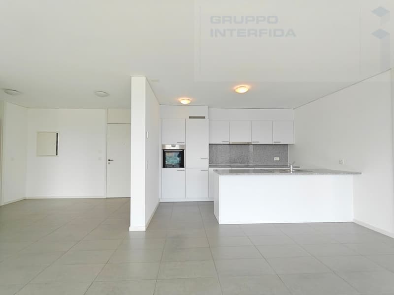 MODERNO APPARTAMENTO 3.5 LOCALI CON TERRAZZA (4)
