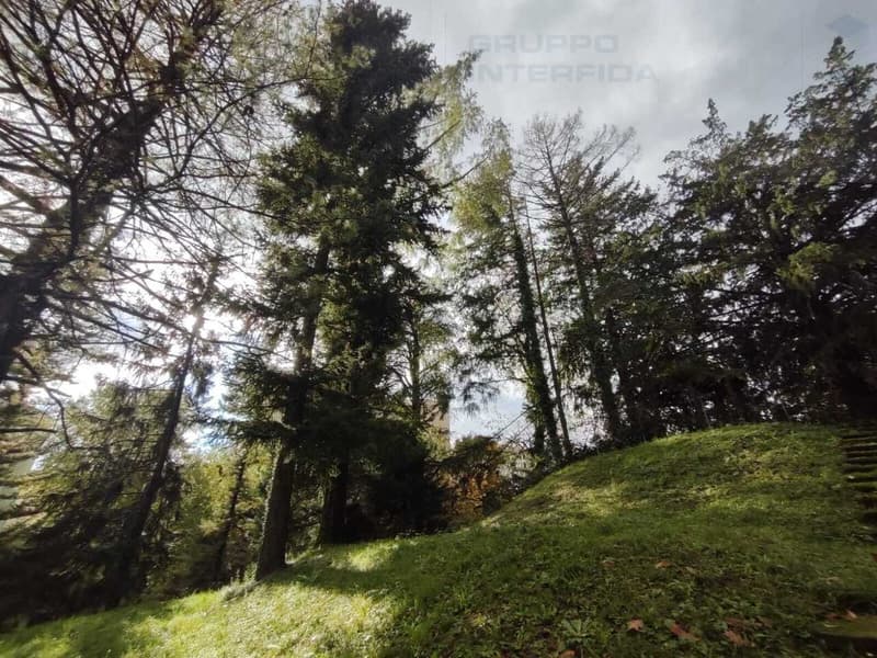 TERRENO EDIFICABILE CON PROGETTO APPROVATO (8)