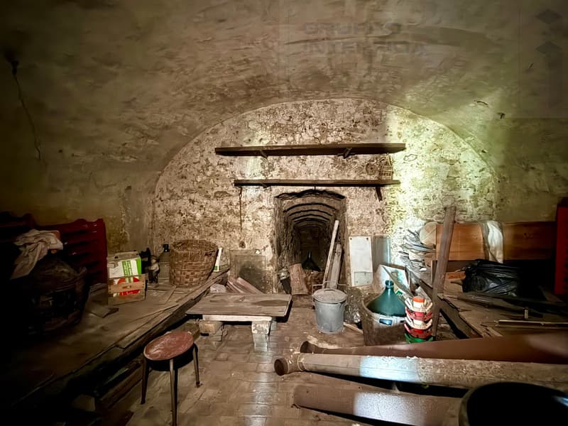 CLASSICA CANTINA A MENDRISIO (10)