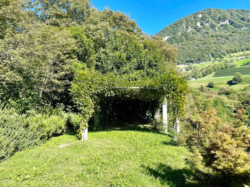 Einfamilienhaus im Grünen (11)