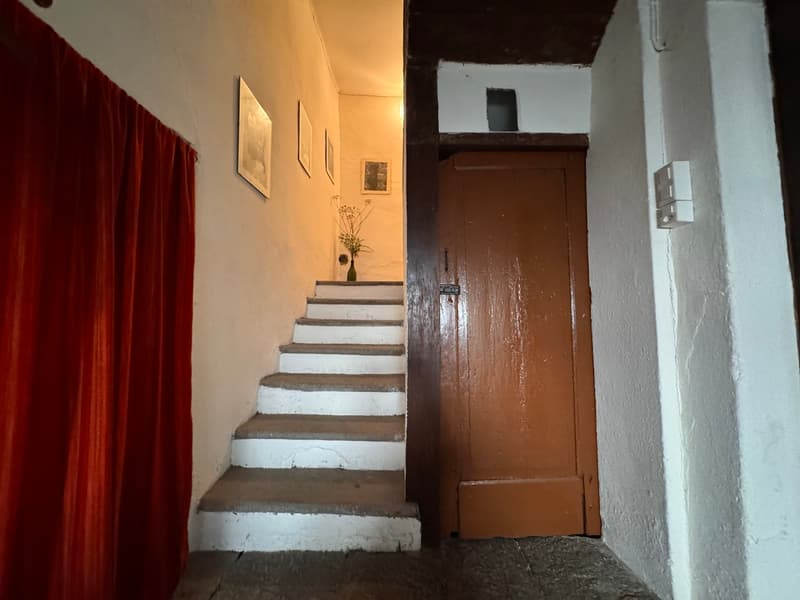 Maison rustique dans le noyau (3)