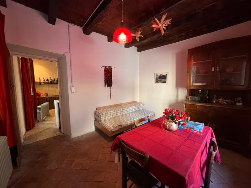 Maison rustique dans le noyau (6)