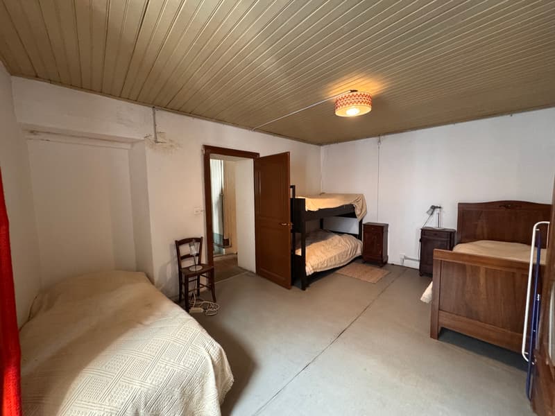 Maison rustique dans le noyau (7)