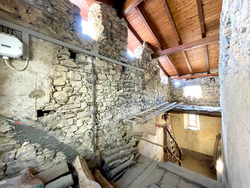 Maison rustique dans le noyau (10)