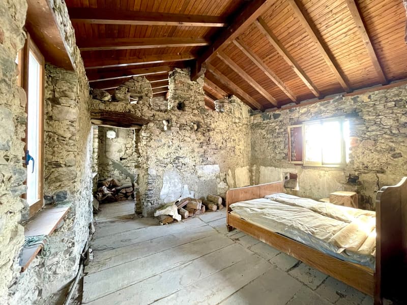 Maison rustique dans le noyau (12)