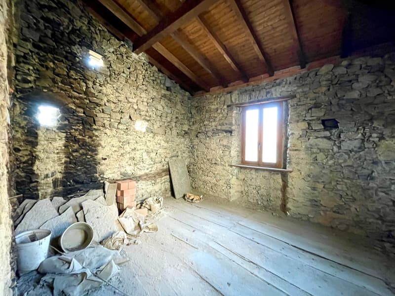 Maison rustique dans le noyau (11)