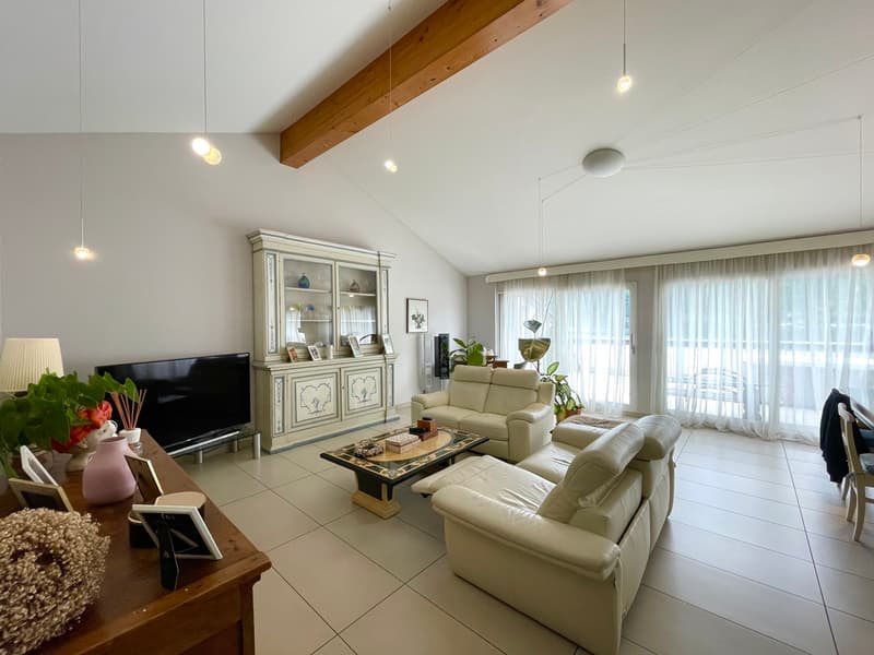 ELEGANT ET PENTHOUSE, AVEC PRIVACITE GARANTIE (3)