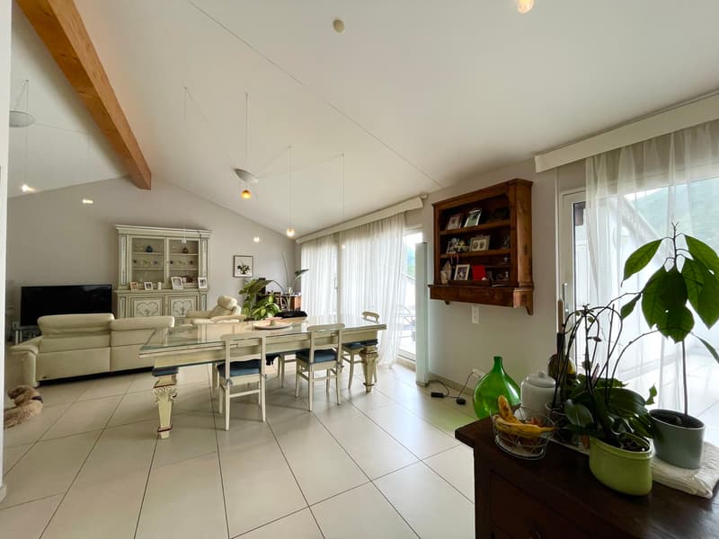 ELEGANT ET PENTHOUSE, AVEC PRIVACITE GARANTIE (6)