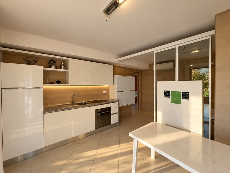 MODERNO E COMODO APPARTAMENTO IN RESIDENZA VILLA IVY (2)