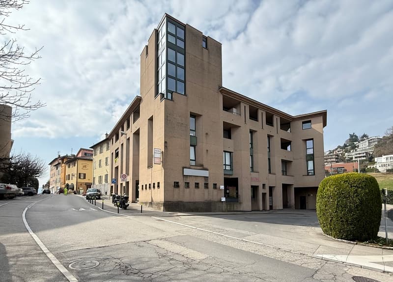Prächtiges Dachgeschoß (1)