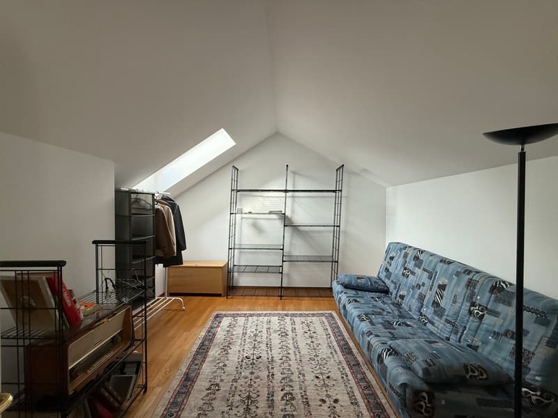 Prächtiges Dachgeschoß (12)