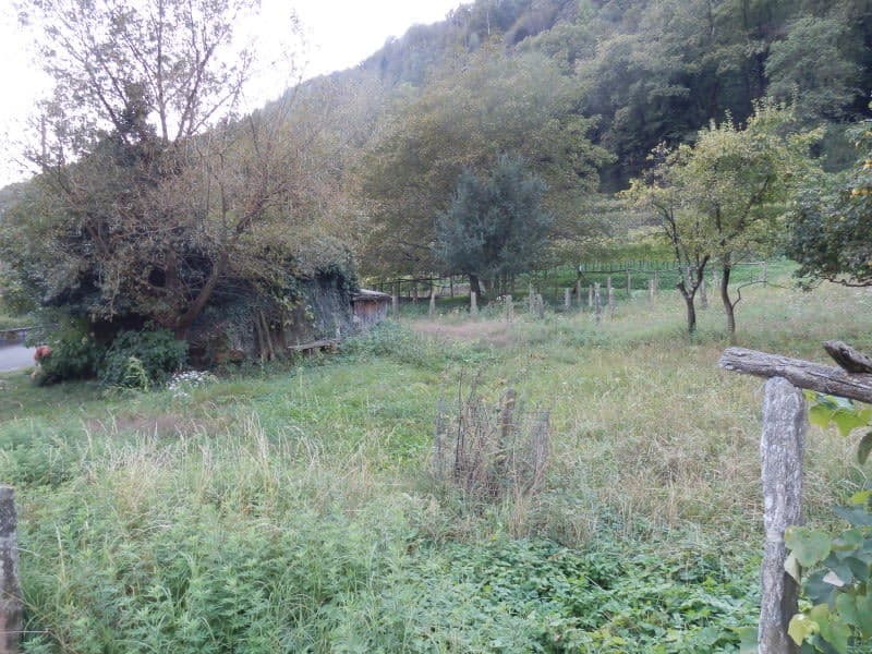 Terrain plat constructible R2 (4)