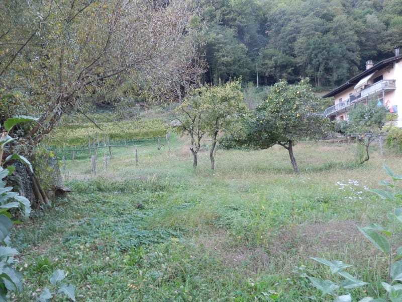 Terrain plat constructible R2 (2)