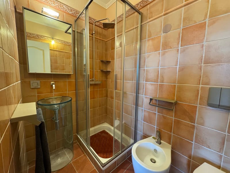 ELEGANTE APPARTAMENTO 3.5 LOCALI IN CASA D'EPOCA (9)