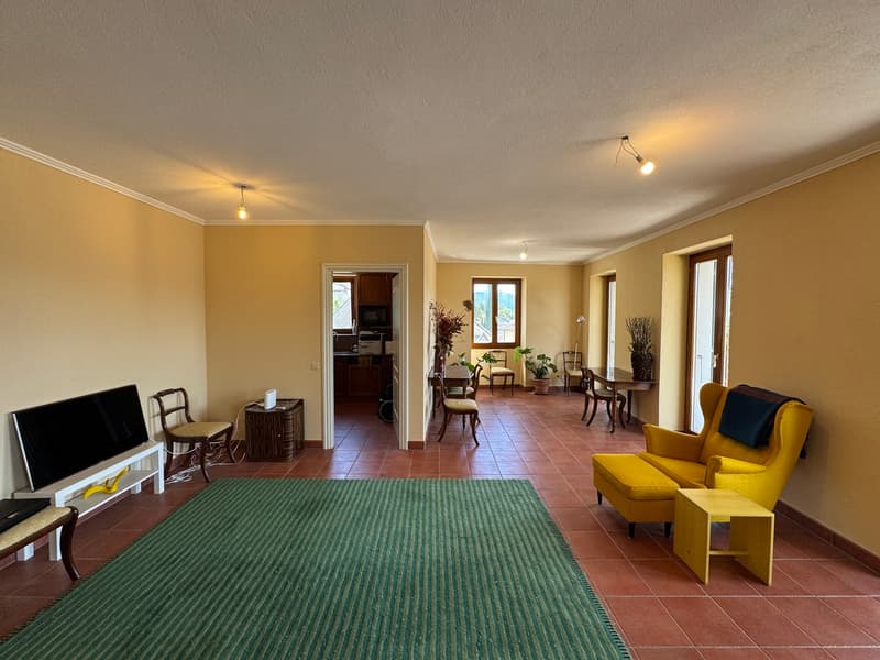 ELEGANTE APPARTAMENTO 3.5 LOCALI IN CASA D'EPOCA (4)
