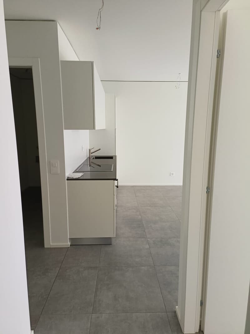 APPARTAMENTO 2.5 LOCALI A REDDITO (3)