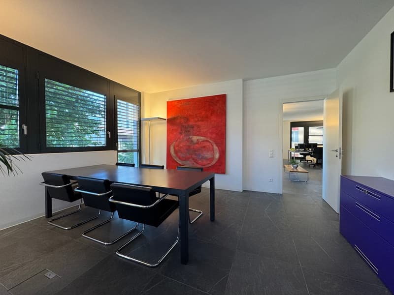 Moderne Büro, auch ideal als Wohnung (13)