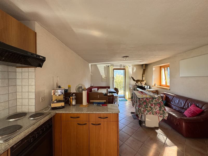CASA RUSTICA DI 2.5 LOCALI (10)