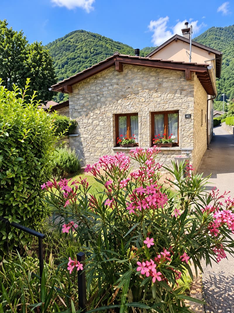 GRAZIOSA CASA RUSTICA NEL CUORE DI BRÉ (1)
