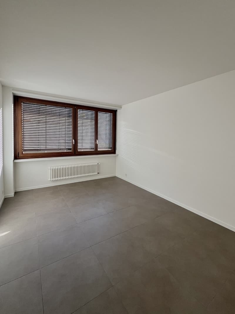 APPARTAMENTI 2.5 LOCALI COMPLETAMENTE RISTRUTTURATI (5)