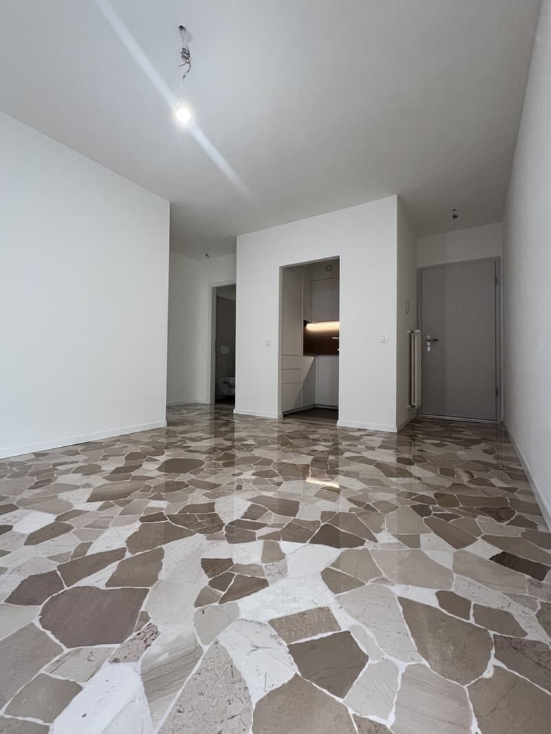 APPARTAMENTI 2.5 LOCALI COMPLETAMENTE RISTRUTTURATI (1)