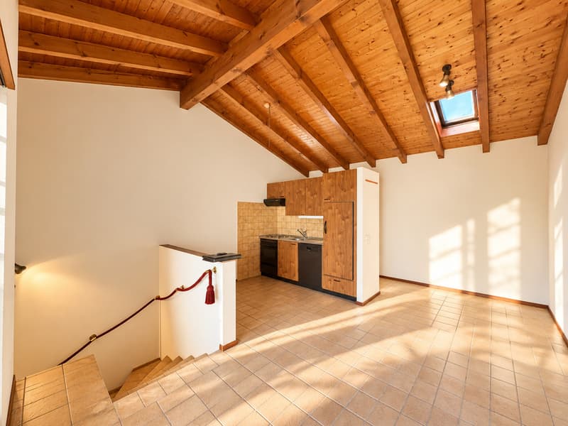APPARTAMENTO 3.5 LOCALI CON AMPIA TERRAZZA E PARZIALE VISTA LAGO (5)