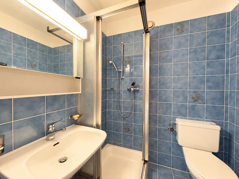 APPARTAMENTO 3.5 LOCALI CON AMPIA TERRAZZA E PARZIALE VISTA LAGO (8)