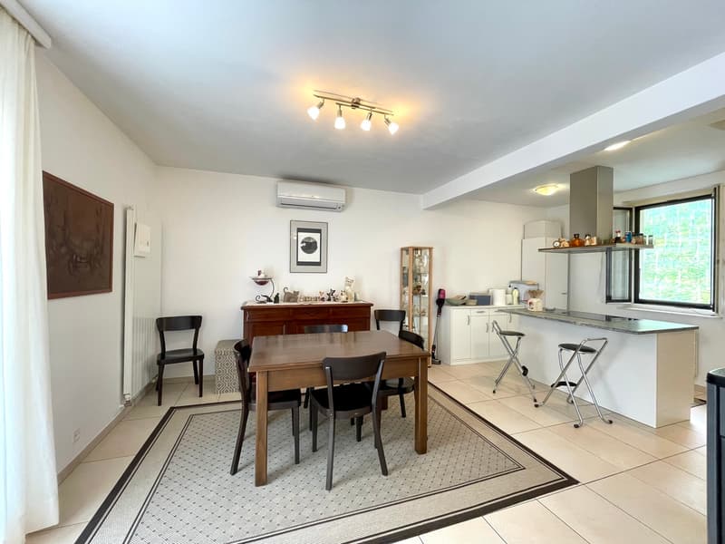 CASA CON DUE APPARTAMENTI (5)