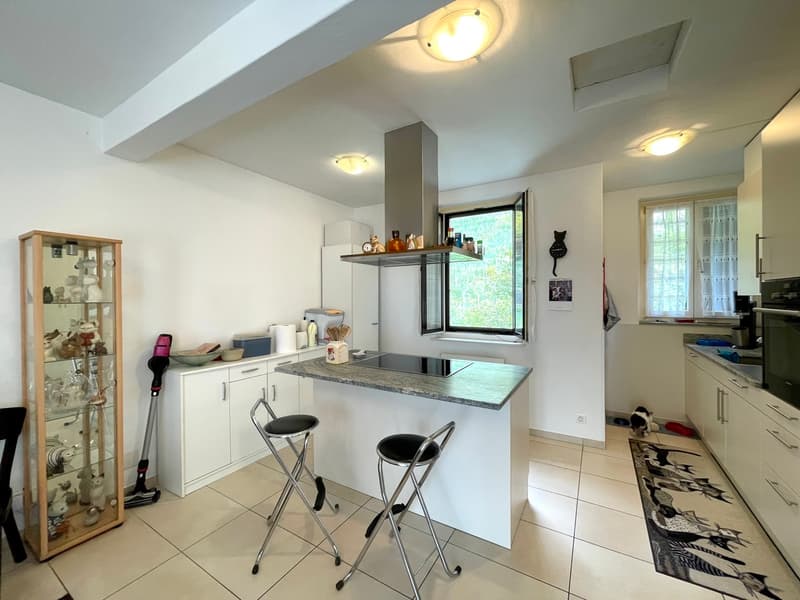 CASA CON DUE APPARTAMENTI (6)