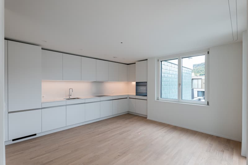 Moderne 3.5 Zimmer Attikawohnung im Herzen von Zürich (5)