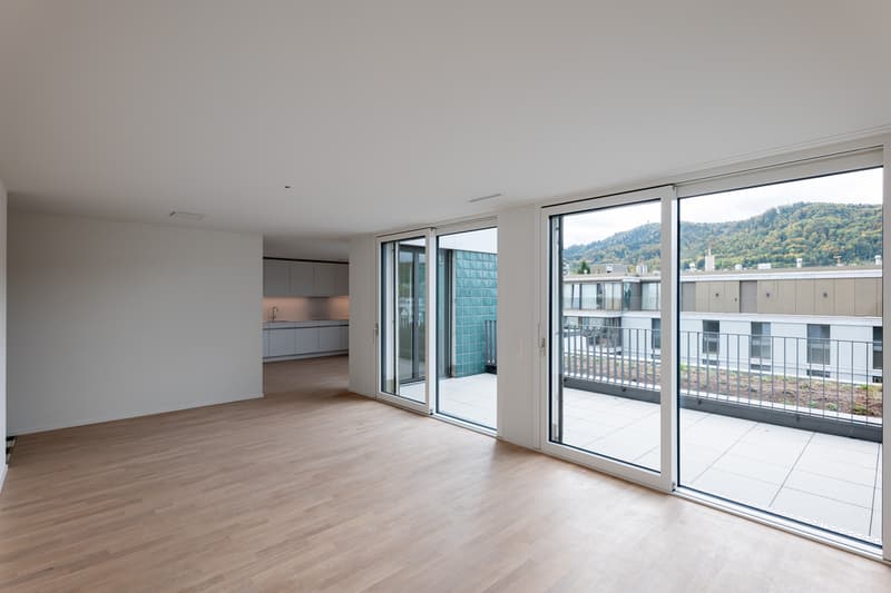 Moderne 3.5 Zimmer Attikawohnung im Herzen von Zürich (4)
