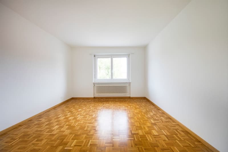 SZ.JPG