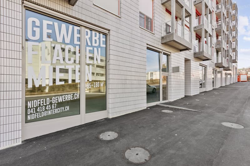 Spazio commerciale vicino a Lucerna con cella umida sviluppata & cucina del tè (1)